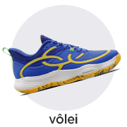 Volei
